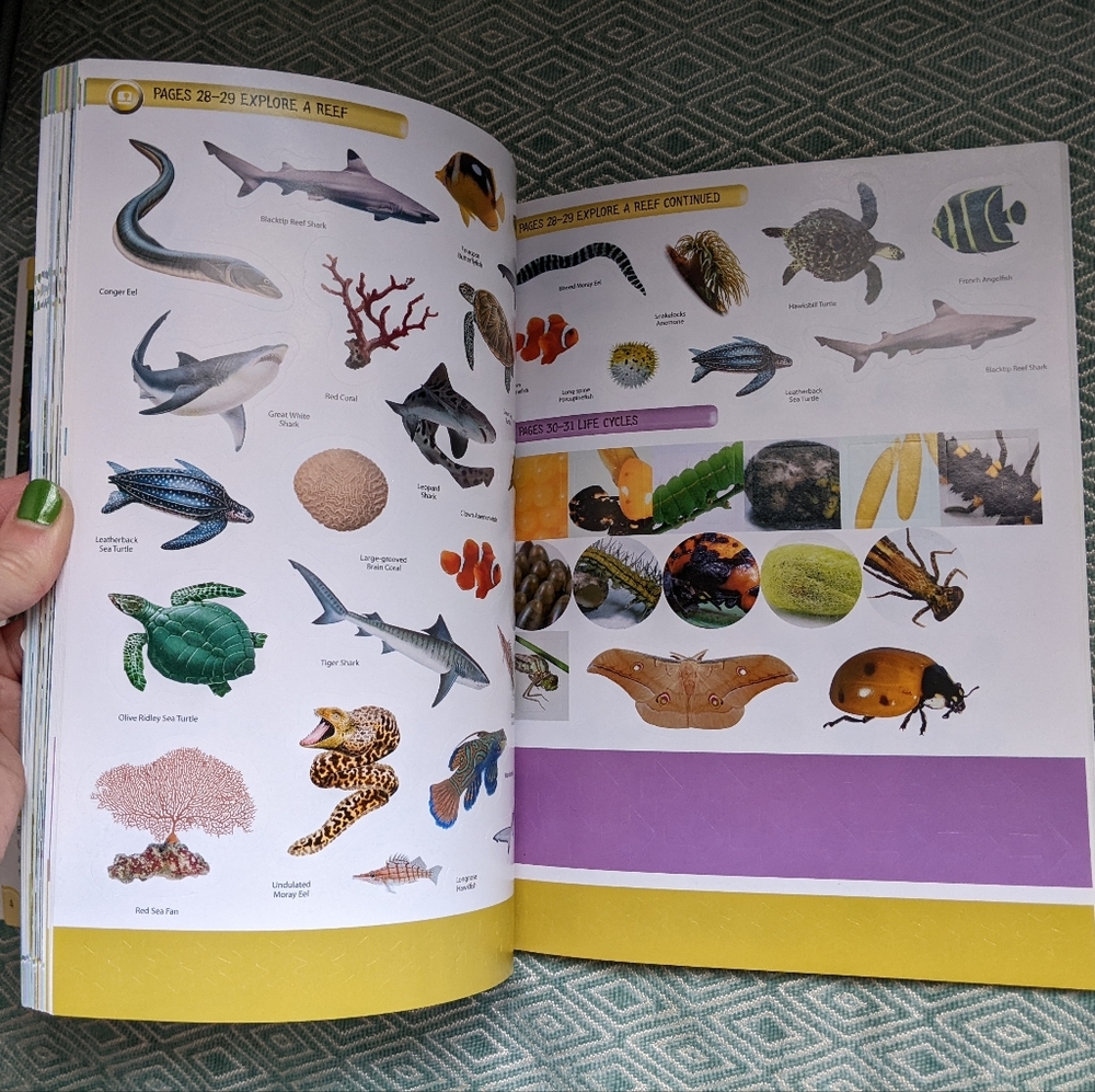 Smithsonian Animals - Ultimate Sticker Activity Collection - Picture 14 of 16